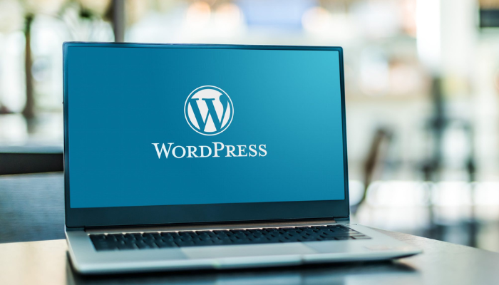 WordPress Developer in India 2024