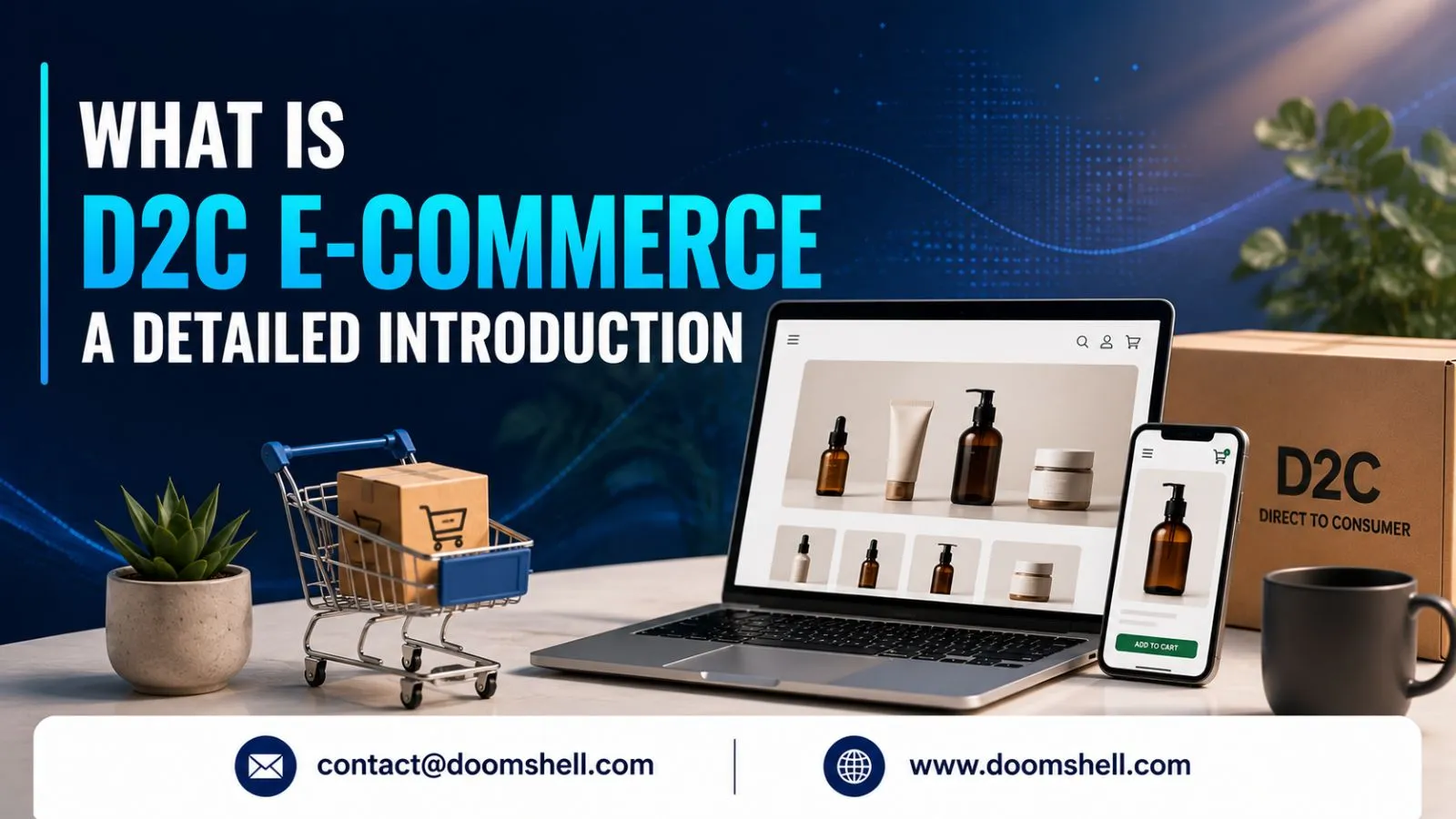 Other What is D2C eCommerce Complete Guide to the Direct-to-Consumer Business Model