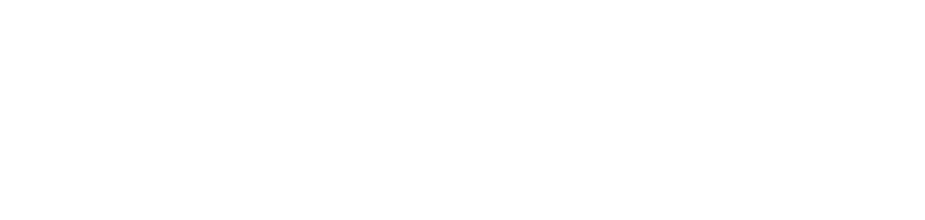 SHREE TRANSPORT Project